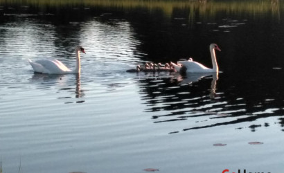 Купить дом, Коханово, ул.Озёрная, д.25, 15 соток. Фото 13