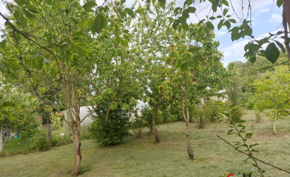 Купить дачу, Топилишки, СТ Раница, Лядский сельсовет, Щучинский район, Гродненская область, 6.09 соток. Фото 12