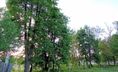 Купить 3-комнатную квартиру, Тереховка, Спортивная, 1А. Фото 19