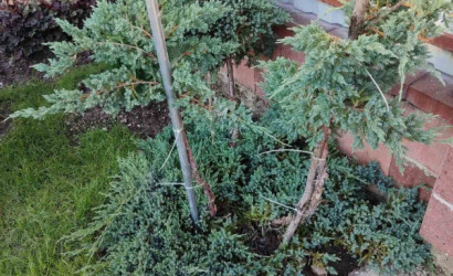 Купить дом в деревне, Пережир, СТ Метрострой, 5 соток. Фото 16