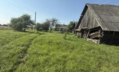  50.4 м2, Новицкие