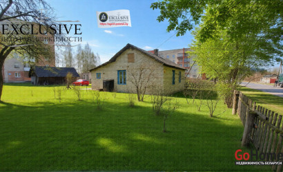 Купить дом, Полоцк, Тросницкая ул., 49, 10 соток. Фото 24