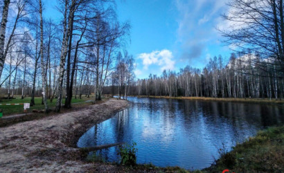 Купить дом, Зеленый Бор, Заводская ул., 21, 10.65 соток. Фото 9