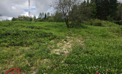 Купить участок, Мончаки, Центральная, 39, 24.92 соток. Фото 9