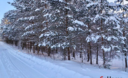 Купить участок, Вишневый сад, 14 соток. Фото 2