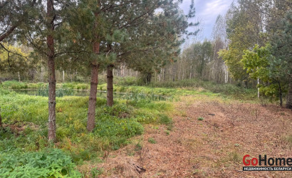 Купить дом, Оконо, Советская, 21 соток. Фото 7