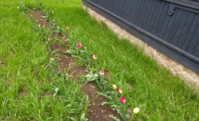 Купить дом в деревне, Кокощицы, 73, 40 соток. Фото 3