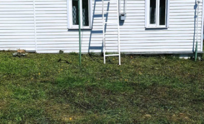 Купить дом, Великая Липа, Ленина 1, 19 соток. Фото 5