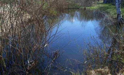 Купить дом, Слобода, Луговая, 25 соток. Фото 9