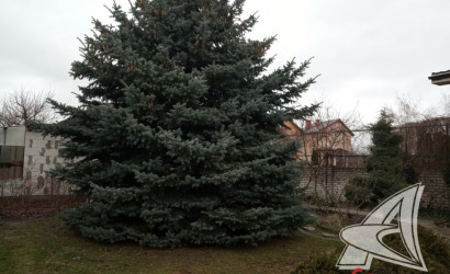 Купить дом, Брест, Пугачево, 13.3 соток. Фото 11