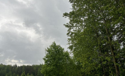 Купить дом, Ольшево, 24.96 соток. Фото 33