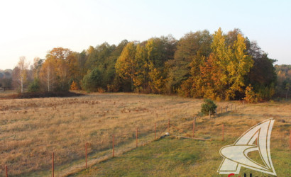 Купить дом, Рогозно, Знаменский с/с, 25 соток. Фото 4