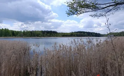  3-этаж.(734.3 м2), Погребище(Набережная ул.)
