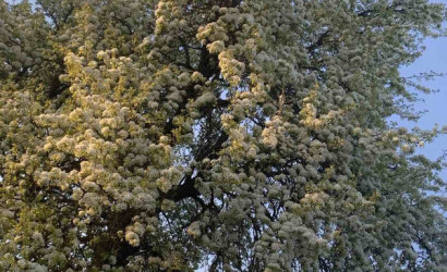 Купить дом, Мечаи, Белорусская, 14.2 соток. Фото 6