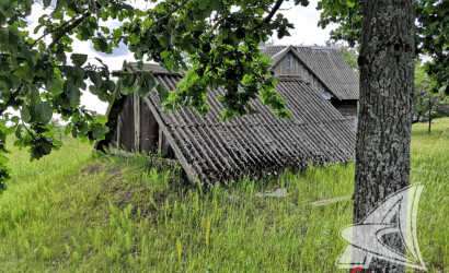 Купить дом в деревне, Рожковка, Дмитровичский с/с, 25 соток. Фото 3