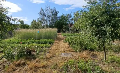  1-этаж.(36 м2), Пинск(1-й Ракетный)