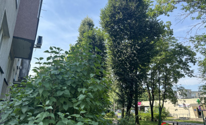 Купить 3-комнатную квартиру, Гродно, Домбровского, 35. Фото 13