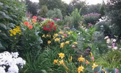 Купить дачу, Руденск-2, СТ ВЕРАС81, 5 соток. Фото 15