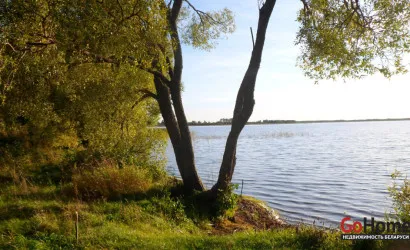  47.4 м2, Шанторовщина(Озерная ул., 7)