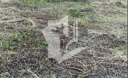 Купить участок, ЛЕСНОЕ-90, 8.05 соток. Фото 2