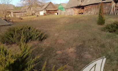 Купить дом в деревне, Горошковка 1, Каменюкский с/с, 25 соток. Фото 30