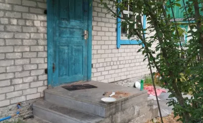  1-этаж.(55 м2), Микашевичи(Альбатрос, 1)