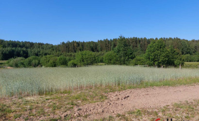 Купить дом, Метличицы, 25 соток. Фото 10