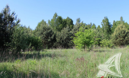 Купить дом, Петровичи, Ракитницкий с/с, 15.5 соток. Фото 3