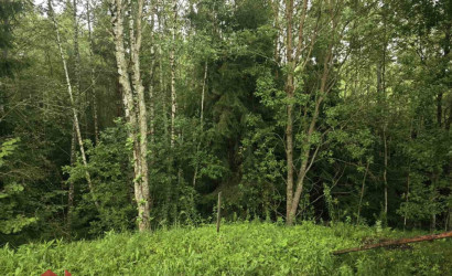 Купить участок, Мончаки, Лесная, 15 соток. Фото 2