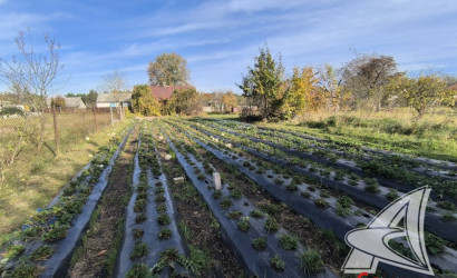 Купить дом, Костычи, Клейниковский с/с, 16.52 соток. Фото 15