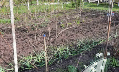 Купить дачу, Брест, Мухавецкий с/с, 5 соток. Фото 12