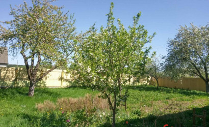 Купить дом, Августово, Лесная, 24.98 соток. Фото 4