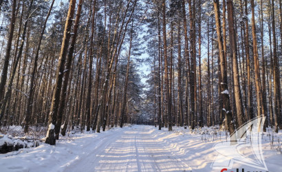 Купить дачу, Брест, Мухавецкий с/с, 4.19 соток. Фото 10