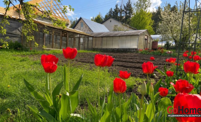 Купить дачу, Зацень, СТ Заценьский Родник 35, 5.6 соток. Фото 7
