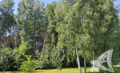 Купить дачу, Брест, Чернавчицкий с/с, 5 соток. Фото 4