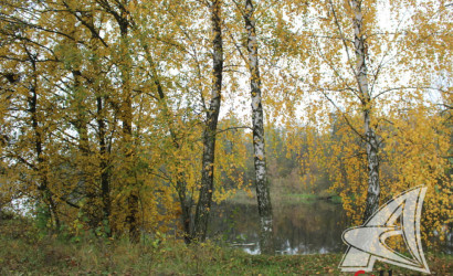 Купить дом, Пески 1, Хидринский с/с, 14.88 соток. Фото 39