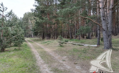 Купить дачу, Брест, Чернавчицкий с/с, 8 соток. Фото 40