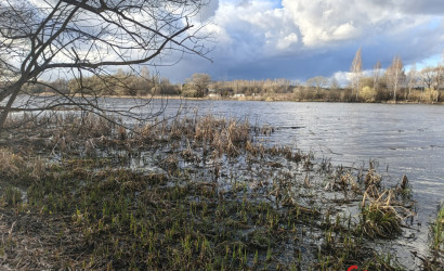 Купить дом, Большая Ганута, Первомайская, 27, 20 соток. Фото 10