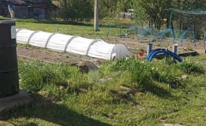 Купить дом, Жилевщина, 43 соток. Фото 13