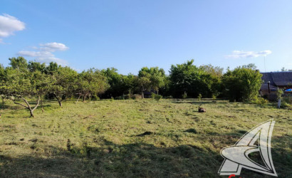 Купить дом в деревне, Чемери 1, Речицкий с/с, 24.62 соток. Фото 13