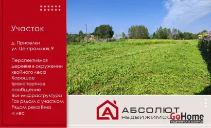  Приселки(Центральная, 9)