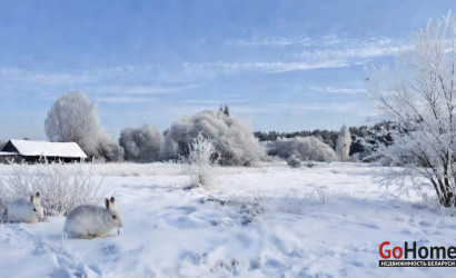 Купить дом, Камено, Школьная, 14.23 соток. Фото 5