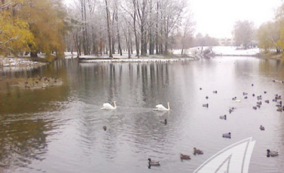 Купить дом, Большие Лепесы, Буховичский с/с, 7.67 соток. Фото 23