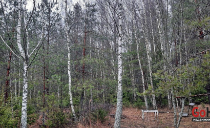 Купить дом в деревне, Надежда, 11 соток. Фото 12