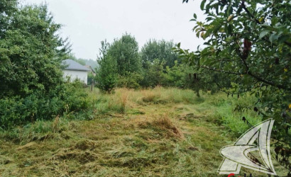 Купить участок, Новые Лыщицы, Лыщицкий с/с, 19.19 соток. Фото 3