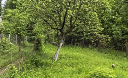  1-этаж.(41 м2), СЕКУНДА