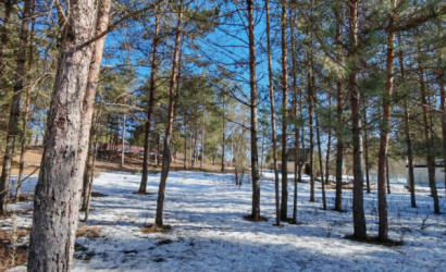 Купить участок, Вишневый сад, 14 соток. Фото 4