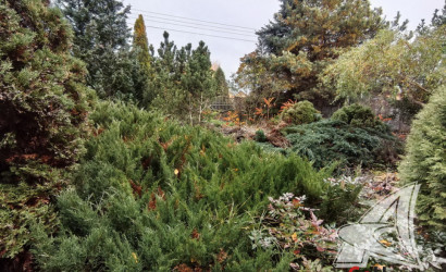 Купить дом, Каменец, г. Каменец, 14.95 соток. Фото 30