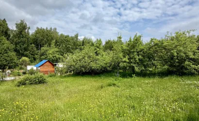  70.2 м2, Тонус