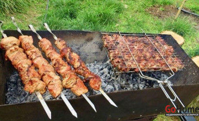 Купить дачу, Фаниполь, Ст. Алеся, 10 соток. Фото 20